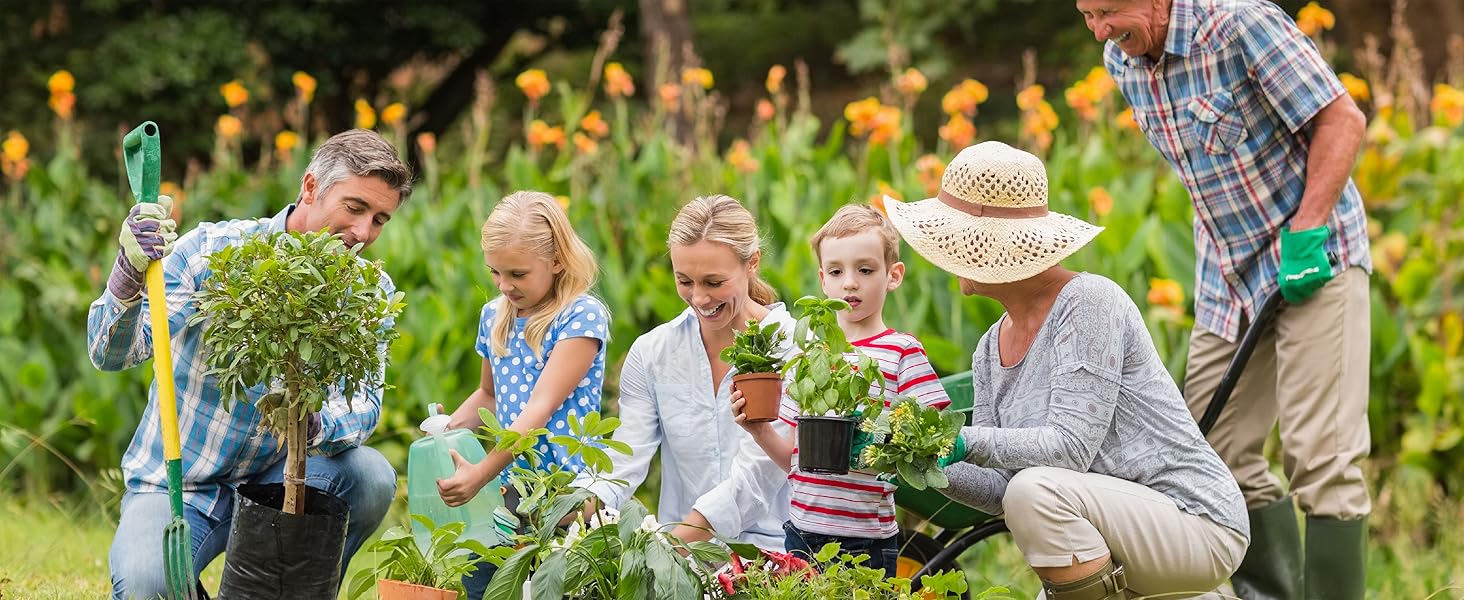 vegetable seeds seeds for planting vegetables and fruits garden gifts gardening gifts