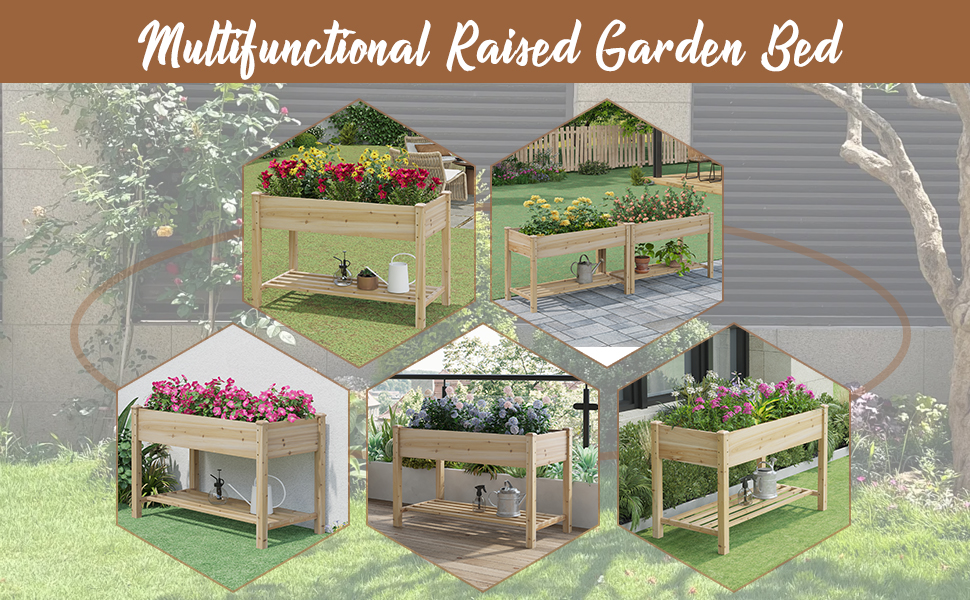 raised garden bed