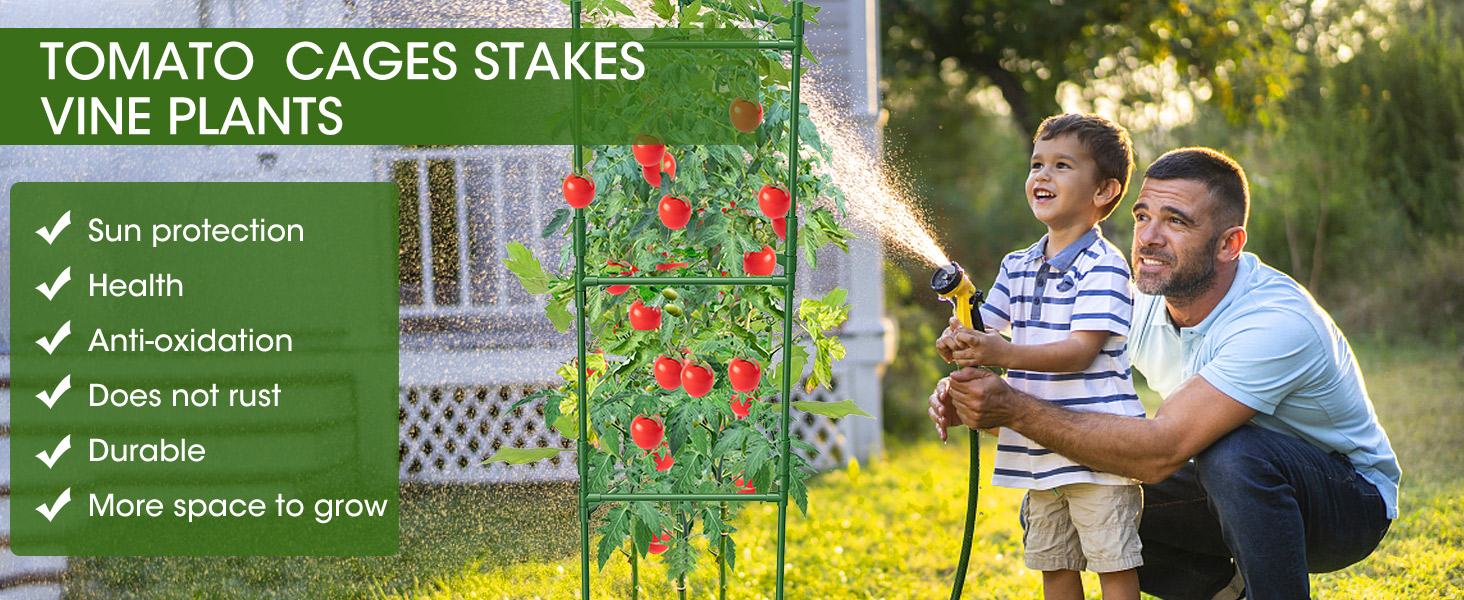 tomato trellis
