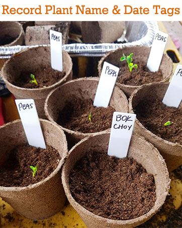 plant tags