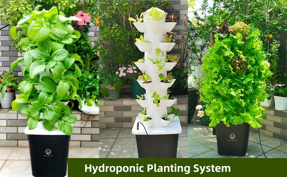 Hydroponic Vertical Gardening
