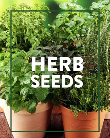 Home Grown Herb Seeds