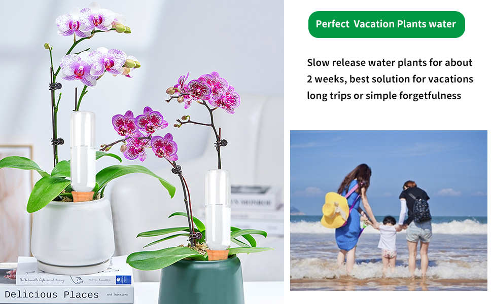 Plant Watering System for Vacation