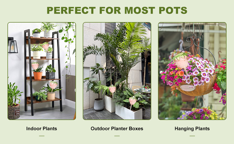 watering plants