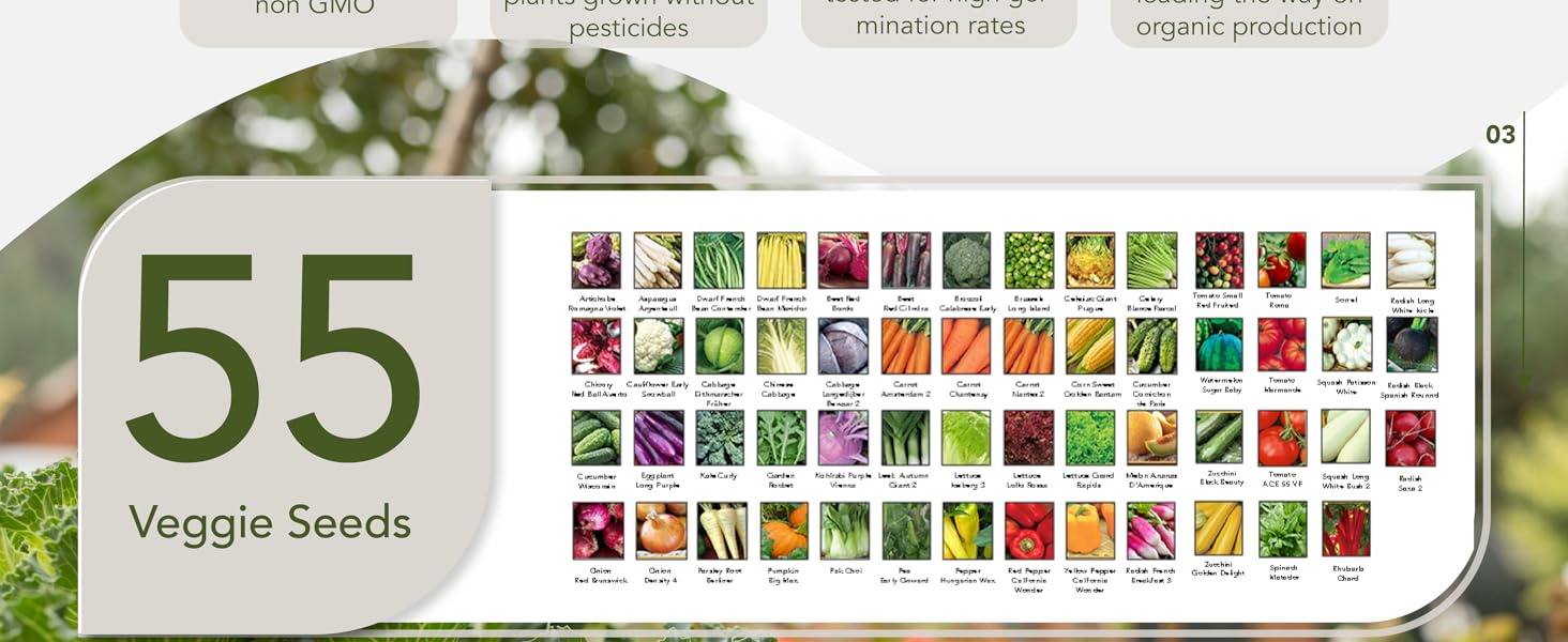 vegetables seeds heirloom seeds  non gmo seeds tomato seeds