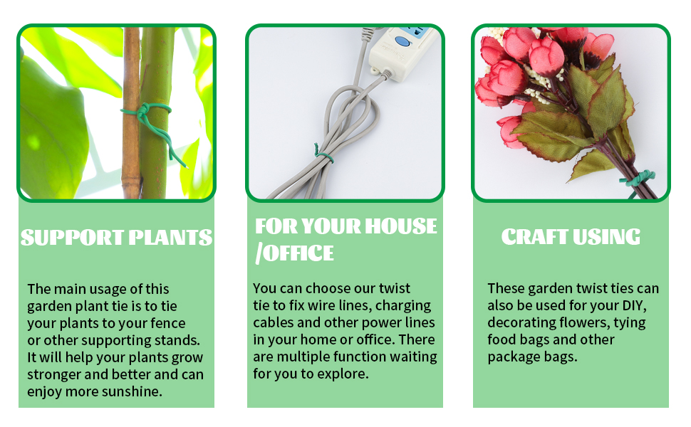 SUPPORT PLANTS FOR YOUR HOUSE/OFFICE CRAFT USING