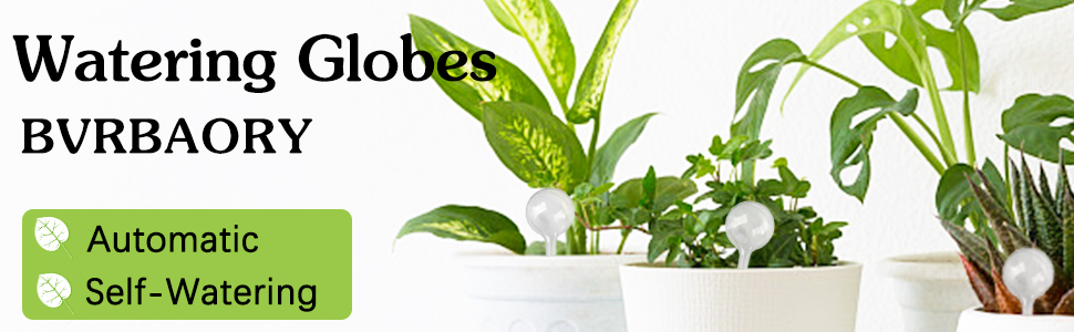 1.1 Plant Watering Globes