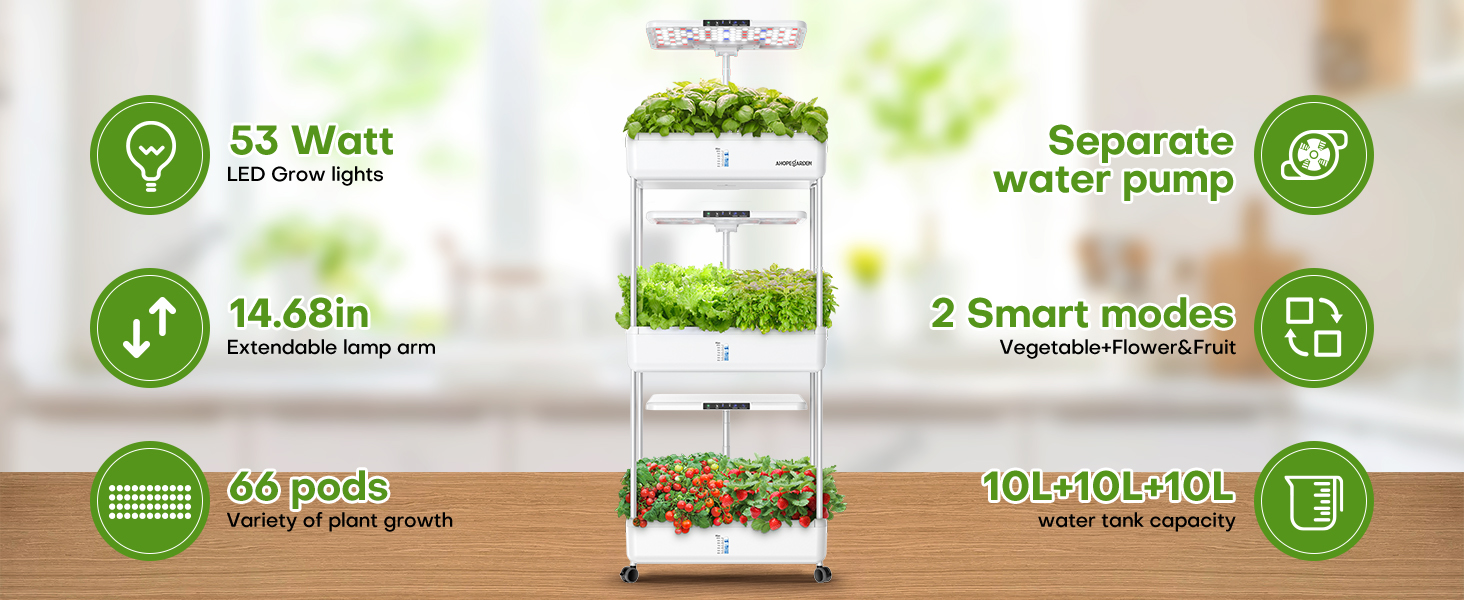 Soilless Farming 