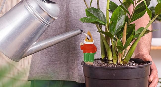 Self Watering Spikes