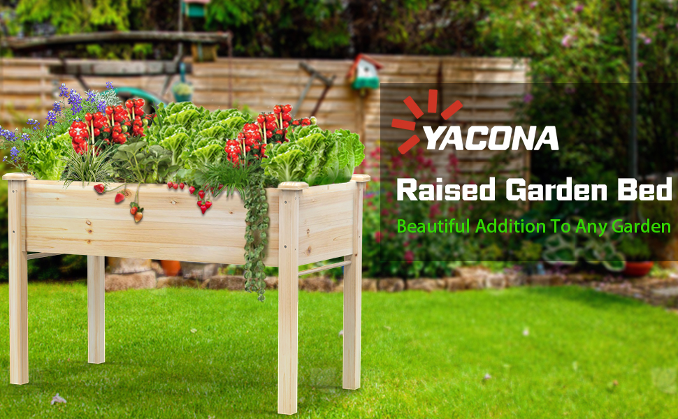 raised garden bed