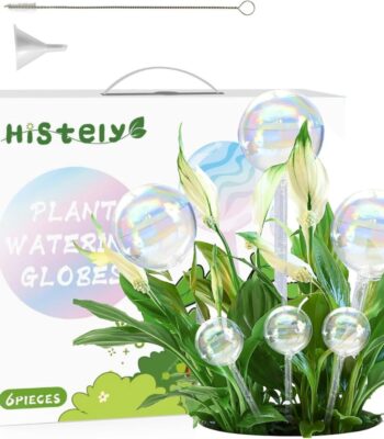 1748164125_71gvm2tGI4L._AC_SL1500_.jpg