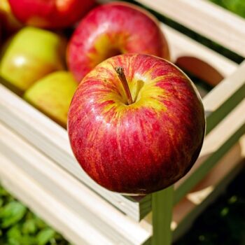 apple-1589869_960_720.jpg