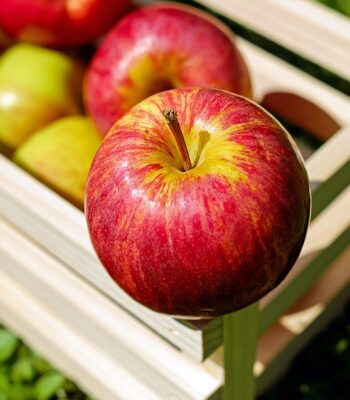 apple-1589869_960_720.jpg