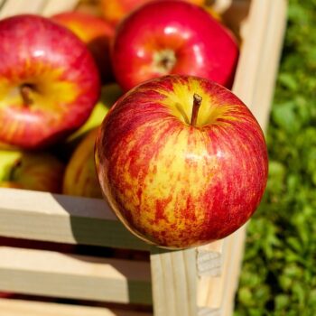 apple-1589874_960_720.jpg