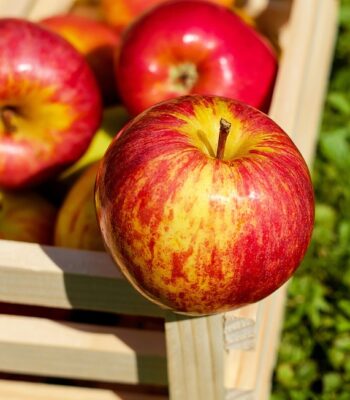 apple-1589874_960_720.jpg