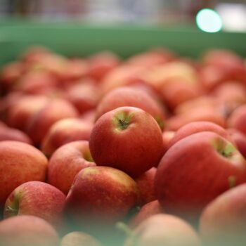 apples-6741164_960_720.jpg