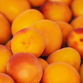 apricots-3433818_960_720.jpg