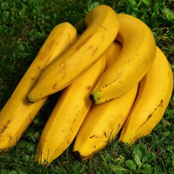 bananas-1642706_960_720.jpg