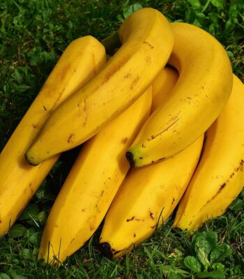 bananas-1642706_960_720.jpg