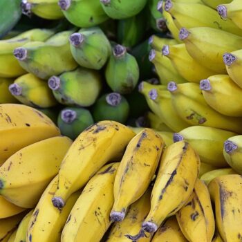 bananas-8364511_960_720.jpg
