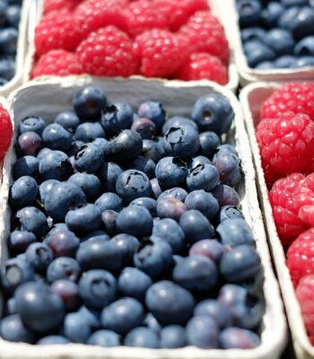 berries-1493905_960_720.jpg