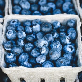 blueberries-1326154_960_720.jpg