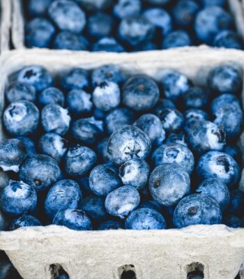blueberries-1326154_960_720.jpg