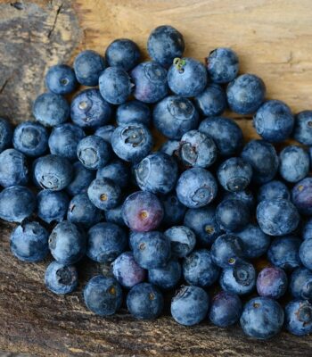 blueberries-2270379_960_720.jpg