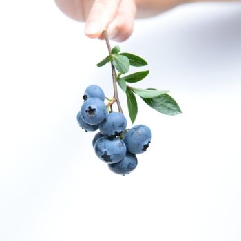 blueberries-539134_960_720.jpg