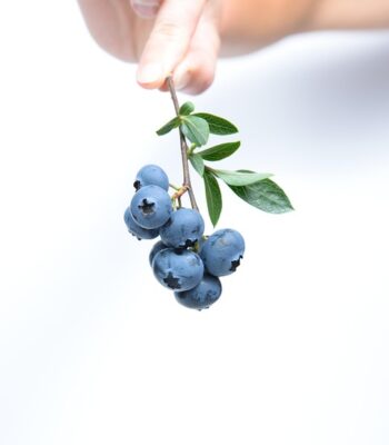blueberries-539134_960_720.jpg