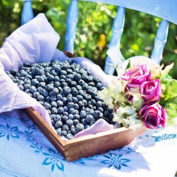 blueberries-870514_960_720.jpg