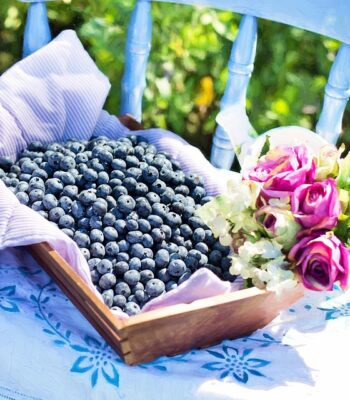 blueberries-870514_960_720.jpg