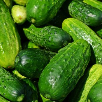 cucumbers-849269_960_720.jpg