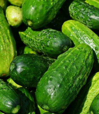 cucumbers-849269_960_720.jpg