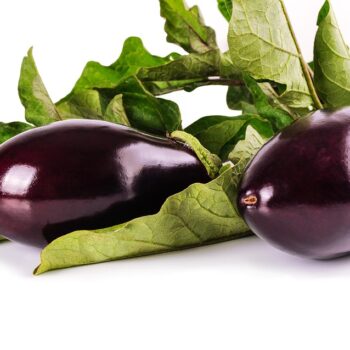 eggplant-1659784_960_720.jpg