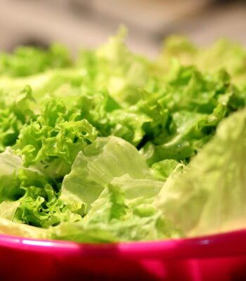 food-1834645_960_720.jpg