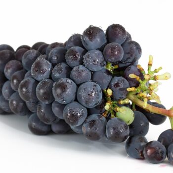 grapes-2032838_960_720.jpg