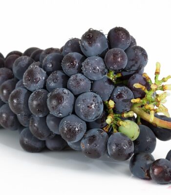grapes-2032838_960_720.jpg