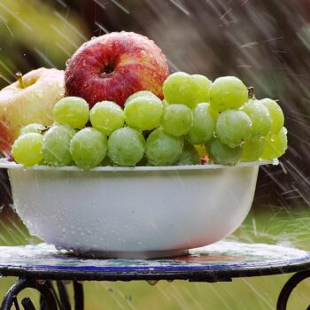 grapes-4125348_960_720.jpg