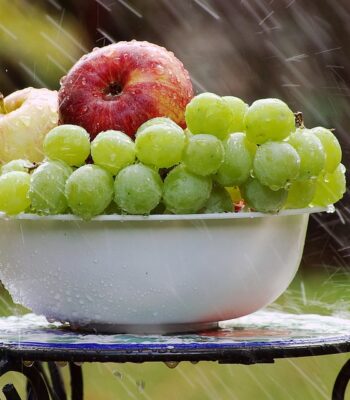 grapes-4125348_960_720.jpg