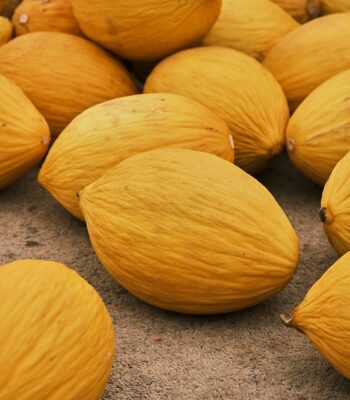 melons-6949139_960_720.jpg