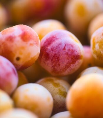 mirabelle-plum-7605256_960_720.jpg
