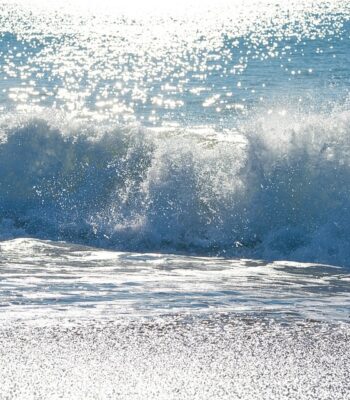ocean-3866494_960_720.jpg