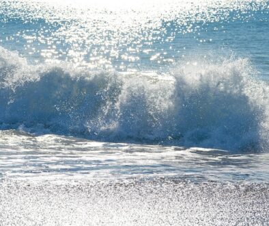 ocean-3866494_960_720.jpg
