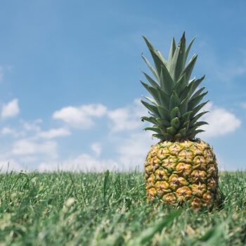 pineapple-867245_960_720.jpg