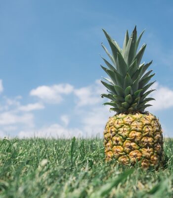 pineapple-867245_960_720.jpg