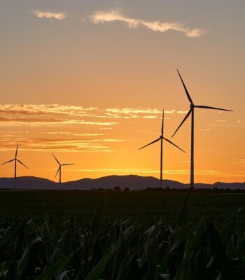 pinwheels-6535599_960_720.jpg