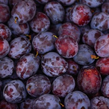 plums-2724160_960_720.jpg