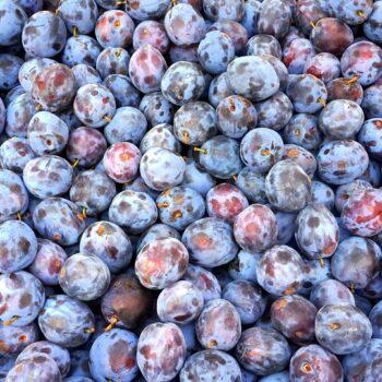 plums-3214274_960_720.jpg