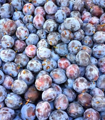 plums-3214274_960_720.jpg